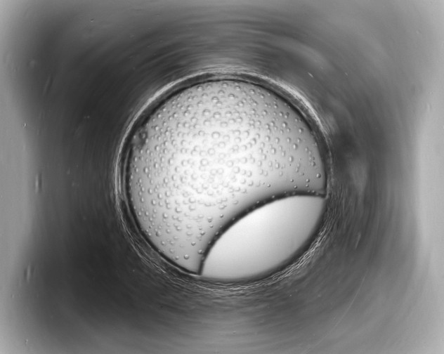 X0000098230887200804241159