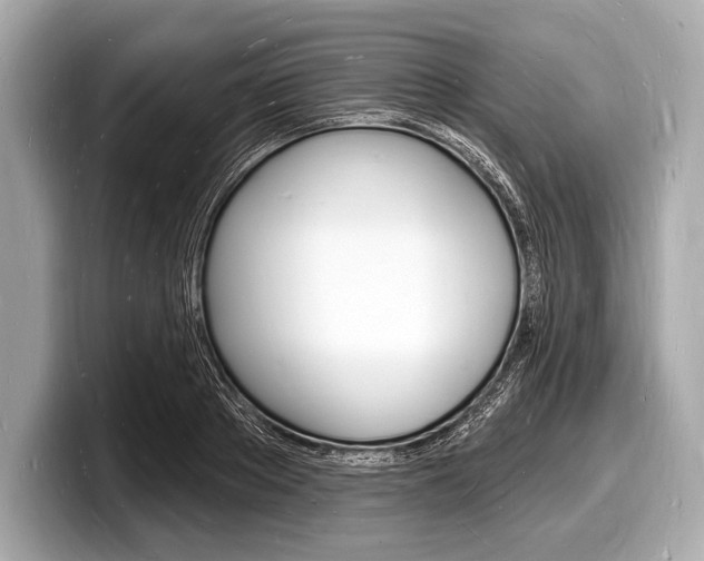 X0000098230889200804241159
