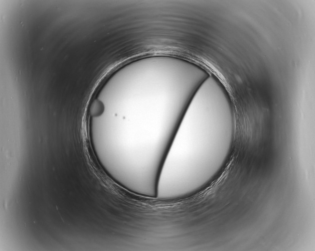 X0000098230891200804241159