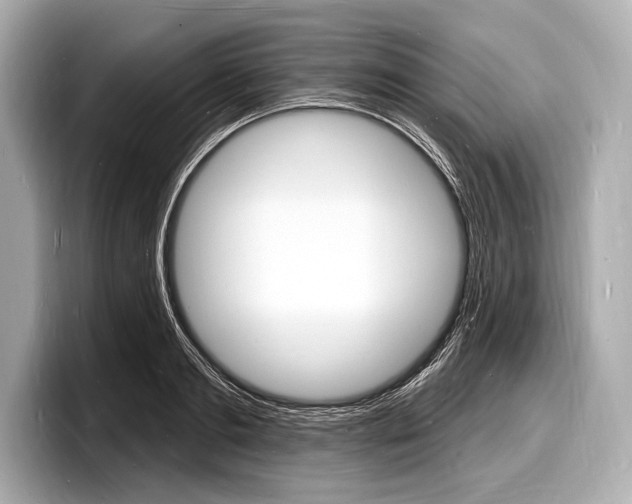 X0000098230893200804241159