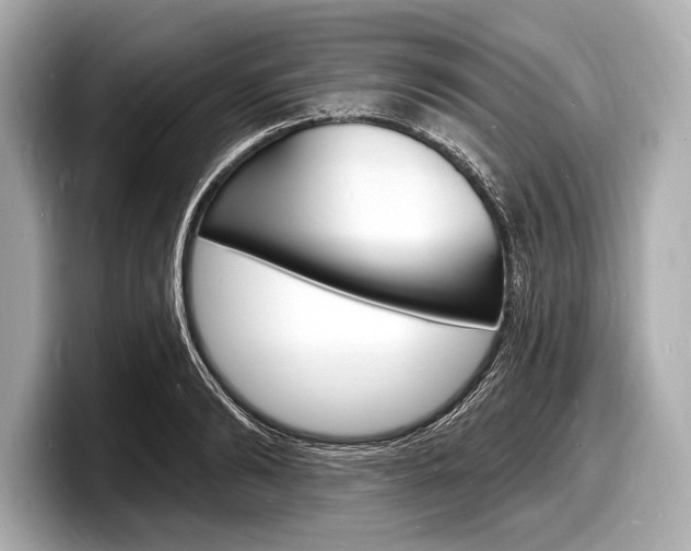 X0000098230894200804241159