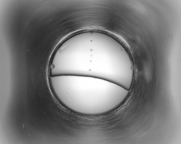 X0000098230895200804241159