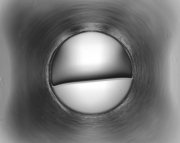 X0000098230898200804241159