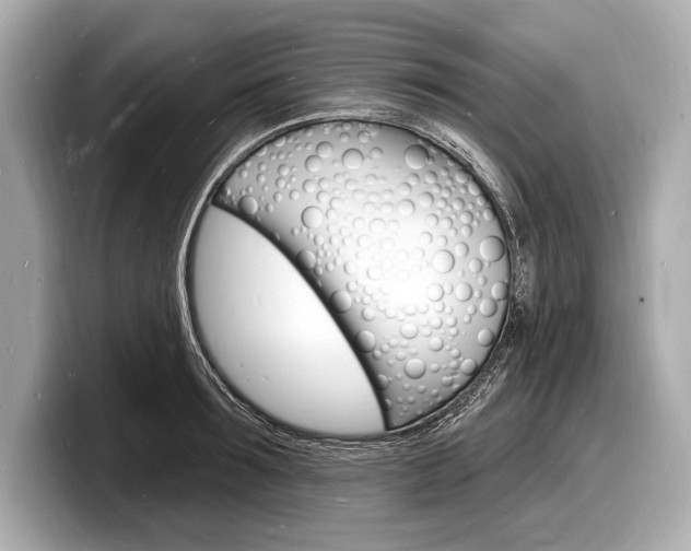 X0000098230899200804241159
