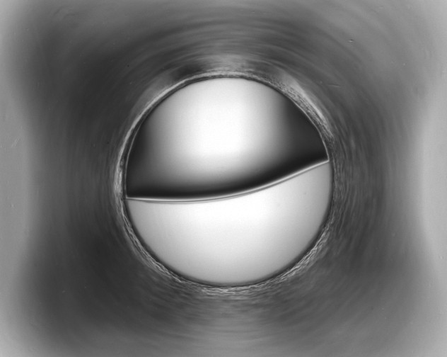 X0000098230900200804241159