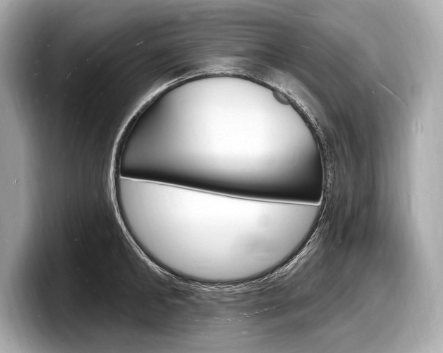 X0000098230902200804241159
