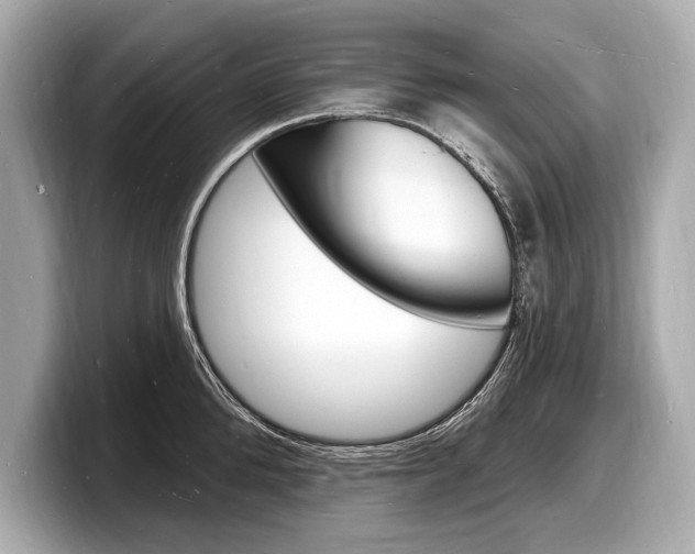 X0000098230904200804241159