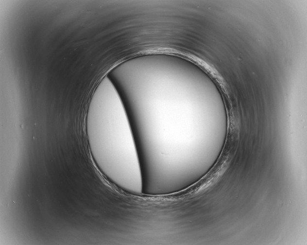 X0000098230905200804241159