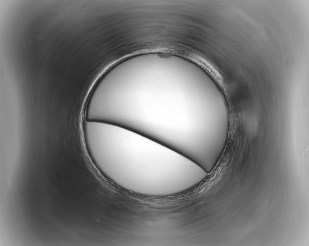 X0000098230907200804241159