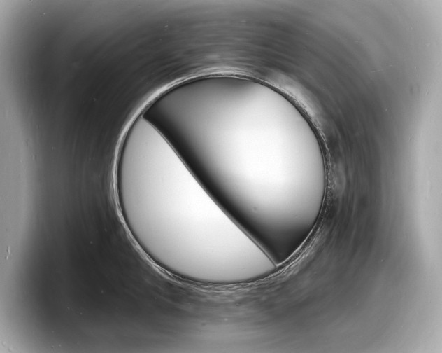 X0000098230910200804241159