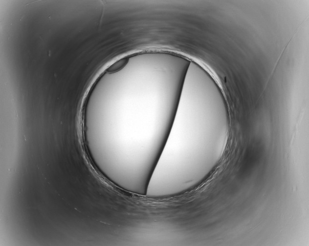 X0000098230911200804241159