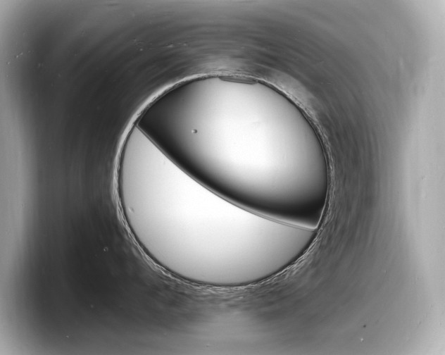 X0000098230912200804241159