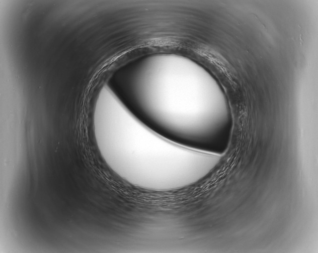 X0000098230920200804241158