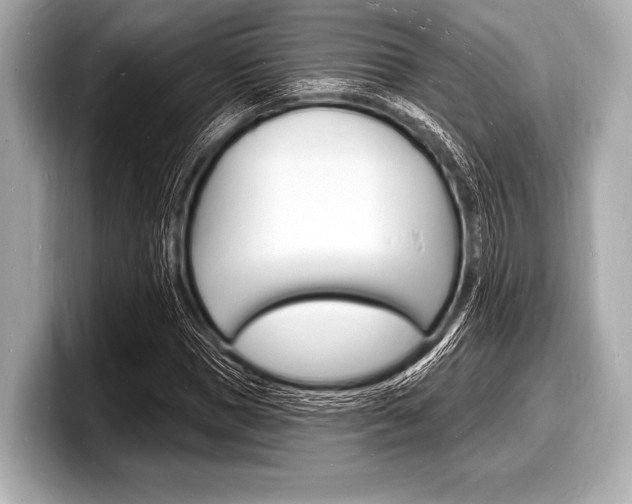 X0000098230921200804241158