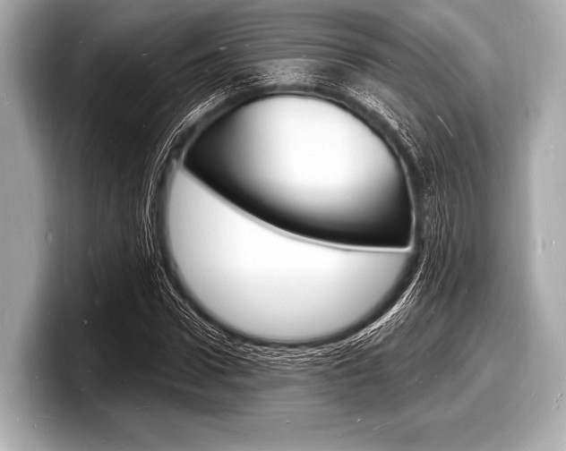 X0000098230922200804241158