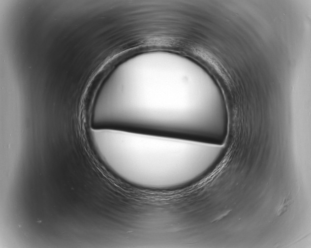 X0000098230923200804241158