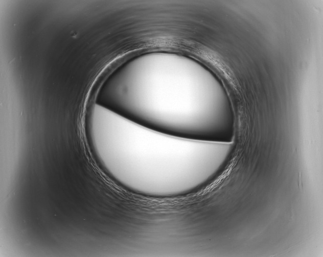 X0000098230924200804241158