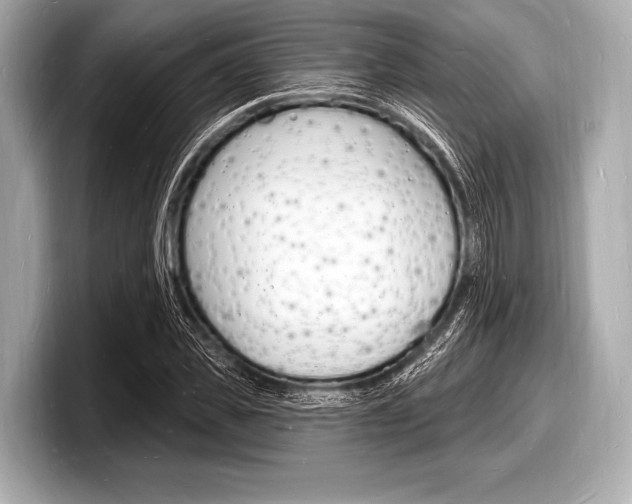 X0000098230925200804241158