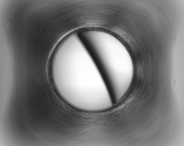 X0000098230926200804241158