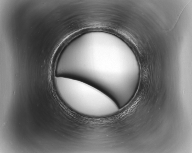 X0000098230927200804241158