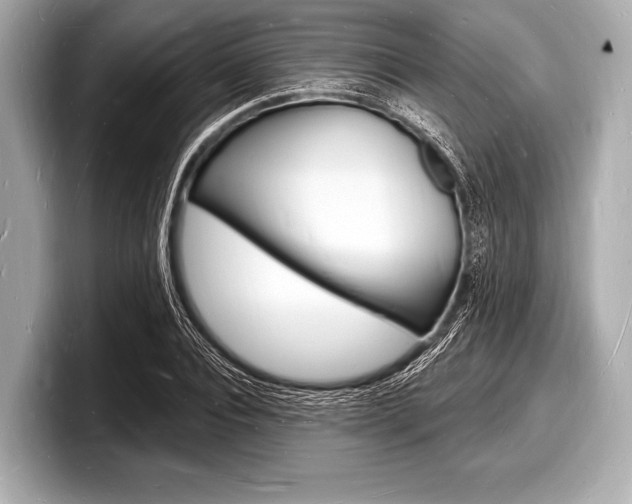 X0000098230928200804241158
