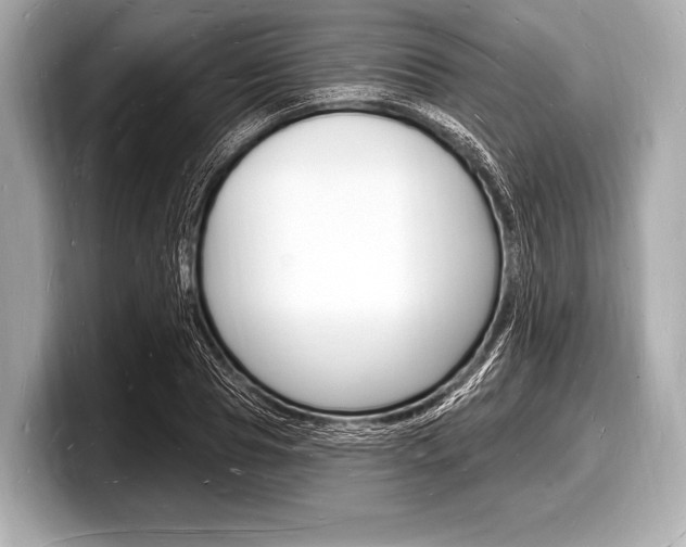X0000098230929200804241158