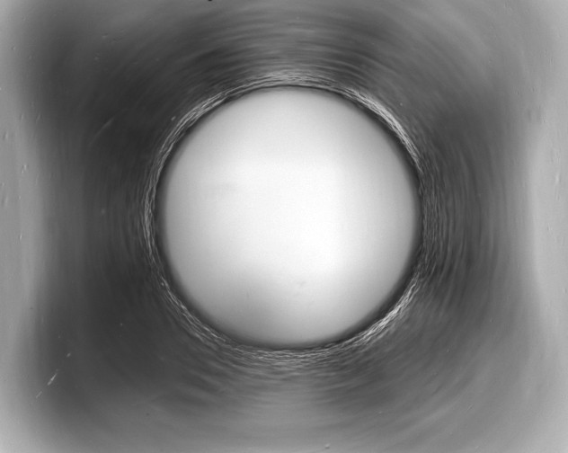 X0000098230930200804241158