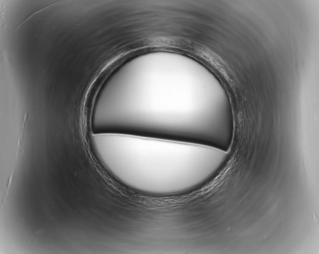 X0000098230931200804241158