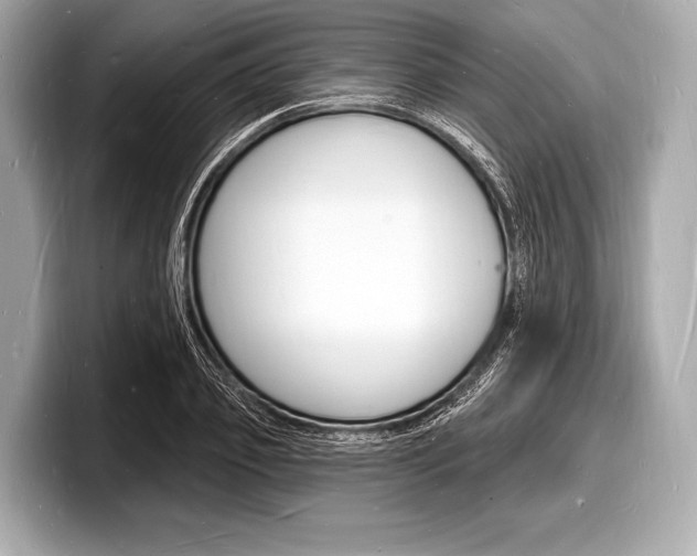 X0000098230933200804241158