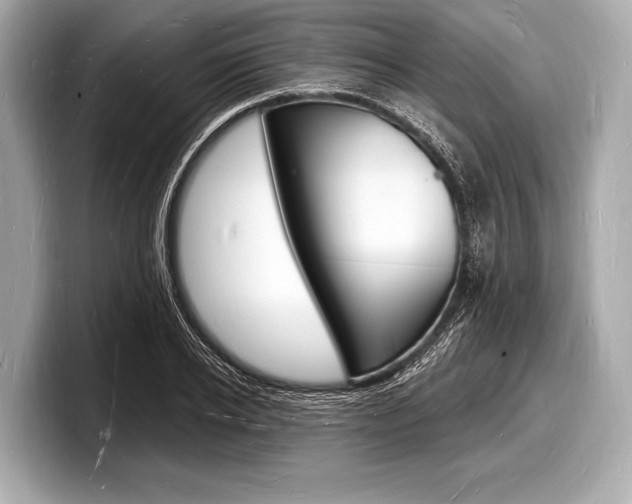 X0000098230934200804241158