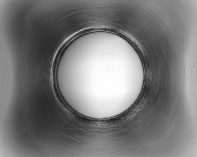 X0000098230935200804241158