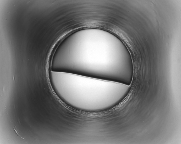 X0000098230939200804241158