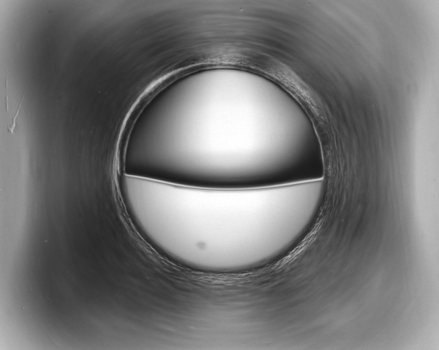 X0000098230940200804241158