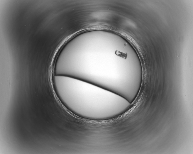 X0000098230941200804241158