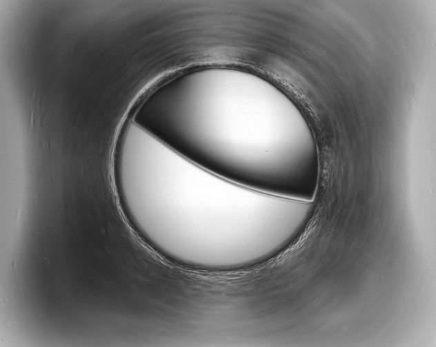 X0000098230942200804241158