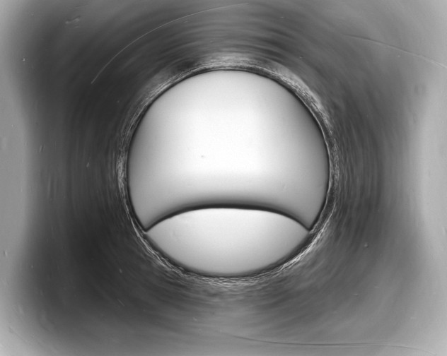 X0000098230945200804241158