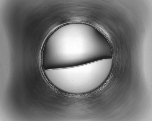 X0000098230948200804241158