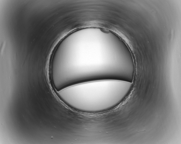 X0000098230949200804241158