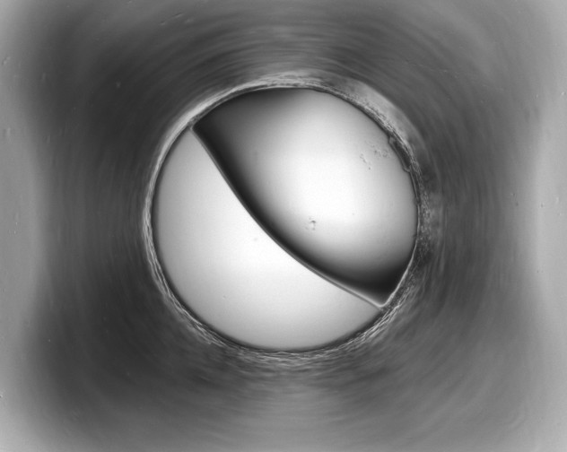 X0000098230952200804241158