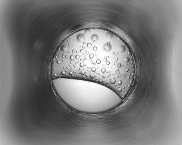 X0000098230953200804241158