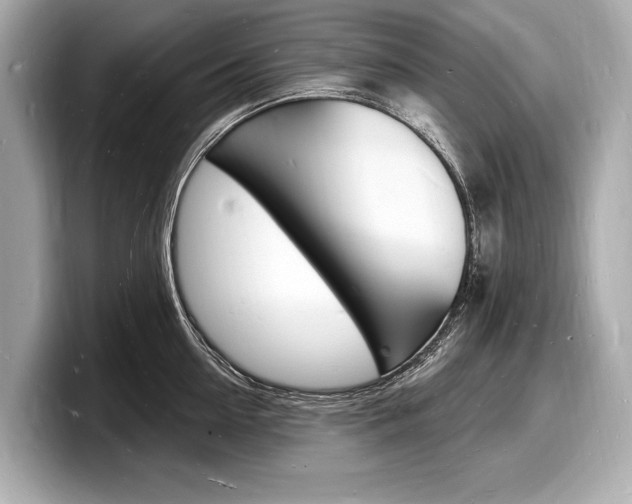X0000098230954200804241158