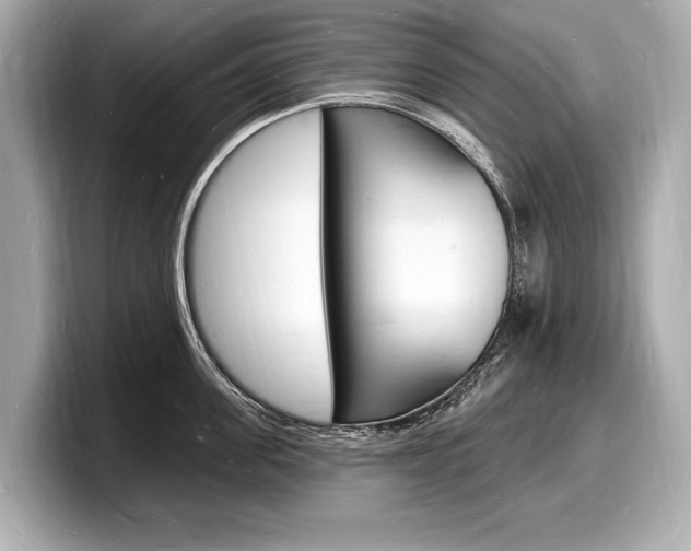 X0000098230955200804241158