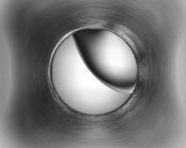 X0000098230956200804241158