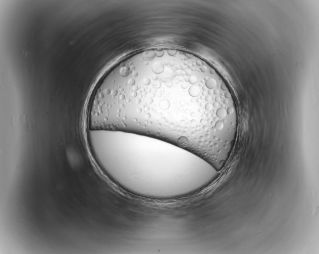 X0000098230957200804241158