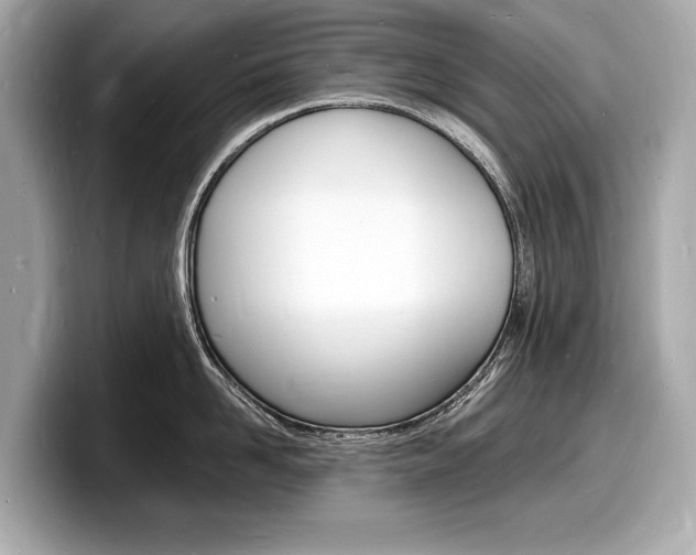 X0000098230958200804241158