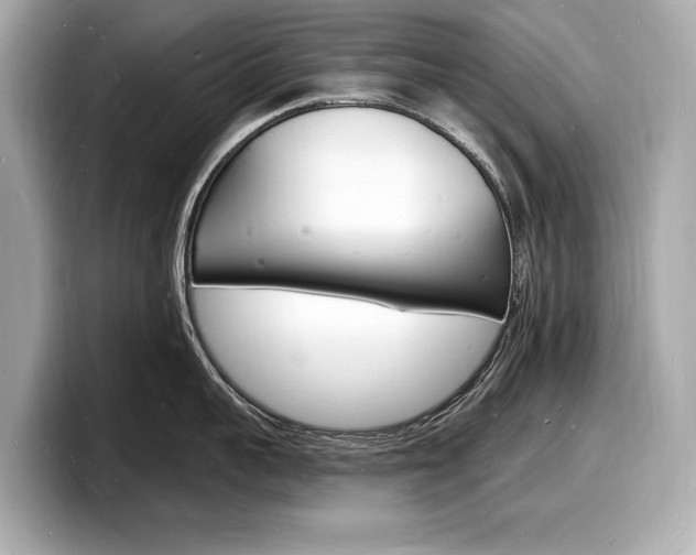 X0000098230959200804241158