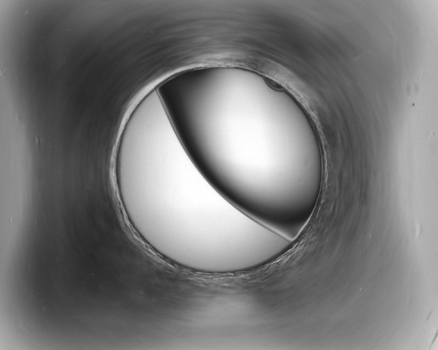 X0000098230960200804241158
