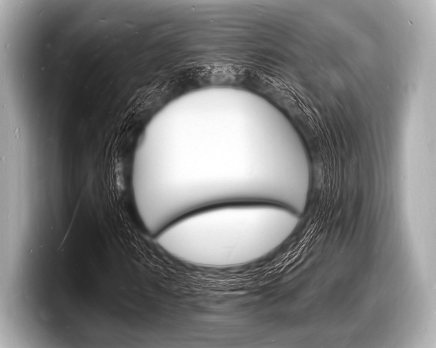 X0000098230962200804241158
