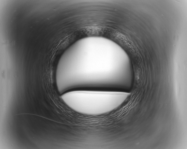 X0000098230964200804241158