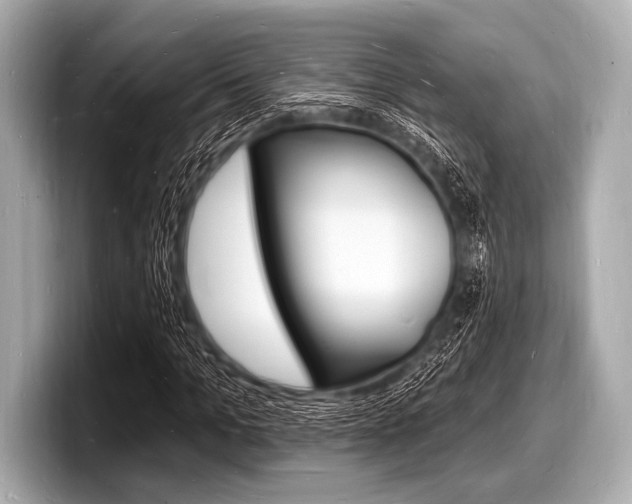 X0000098230965200804241158